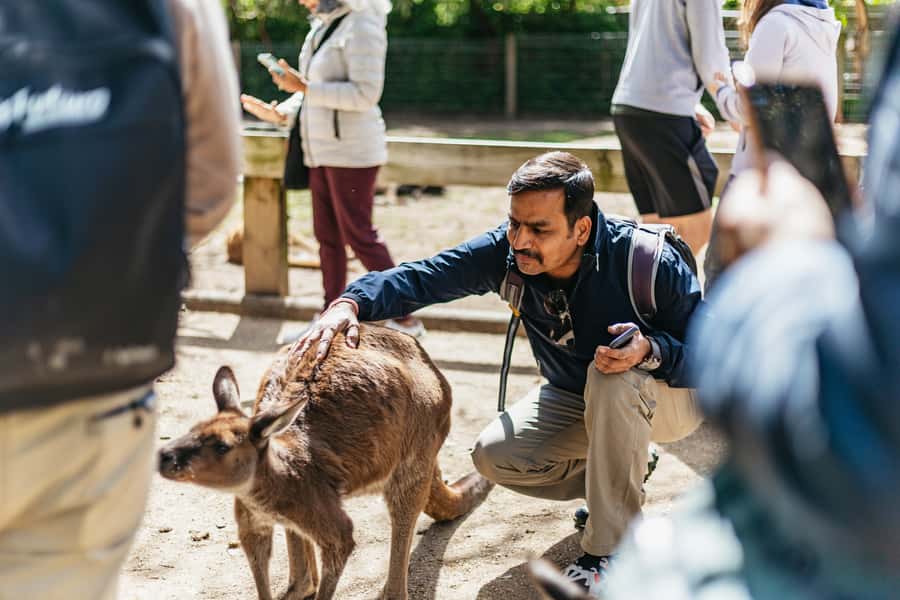 From Sydney: Blue Mountains Full-Day Trip - Price and Value: Is $148 a Good Deal?