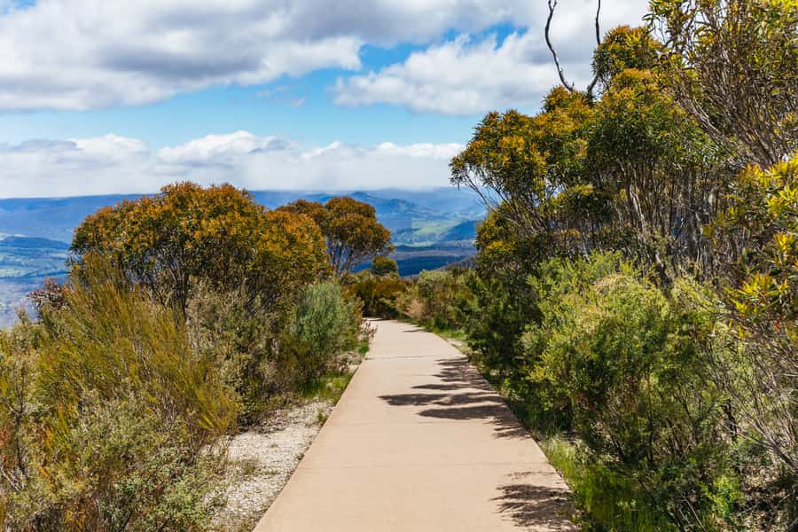 From Sydney: Blue Mountains Full-Day Trip - Ferry Back to Circular Quay: The Calmer Ending Most Days Miss