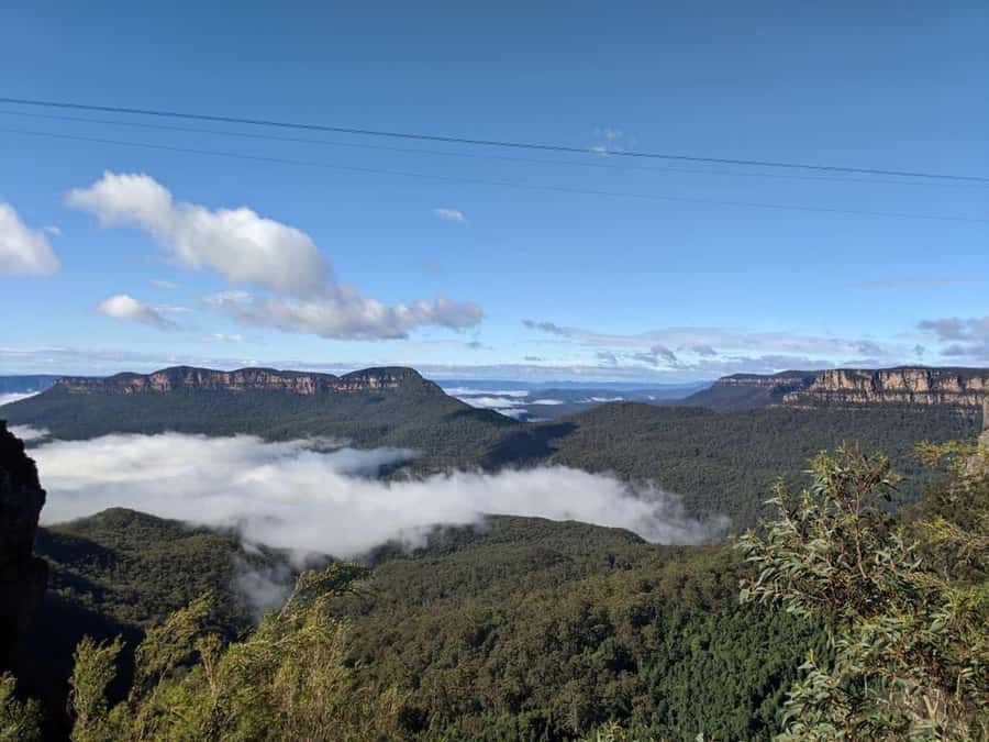 From Sydney: Blue Mountains Private Tour with Wildlife Park - Why this private route works better than a bus day