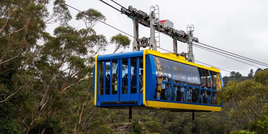 From Sydney: Blue Mountains, Scenic Railway, & Sydney Zoo - Morning Pickup From Central Sydney, With Clear Meeting Points