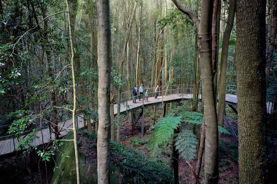 From Sydney: Blue Mountains, Sydney Zoo & Walking Tour - Price and value: what your $77 includes, and what costs extra