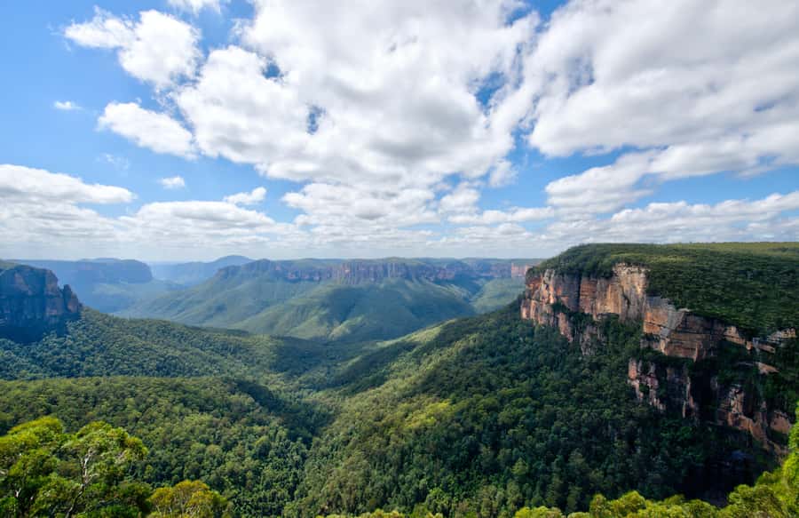 From Sydney: Blue Mountains, Sydney Zoo & Walking Tour - Echo Point and the Three Sisters, what makes this stop feel big