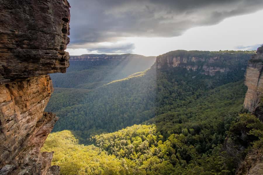 From Sydney: Blue Mountains, Sydney Zoo & Walking Tour - Katoomba Falls walk: the day turns from views to movement