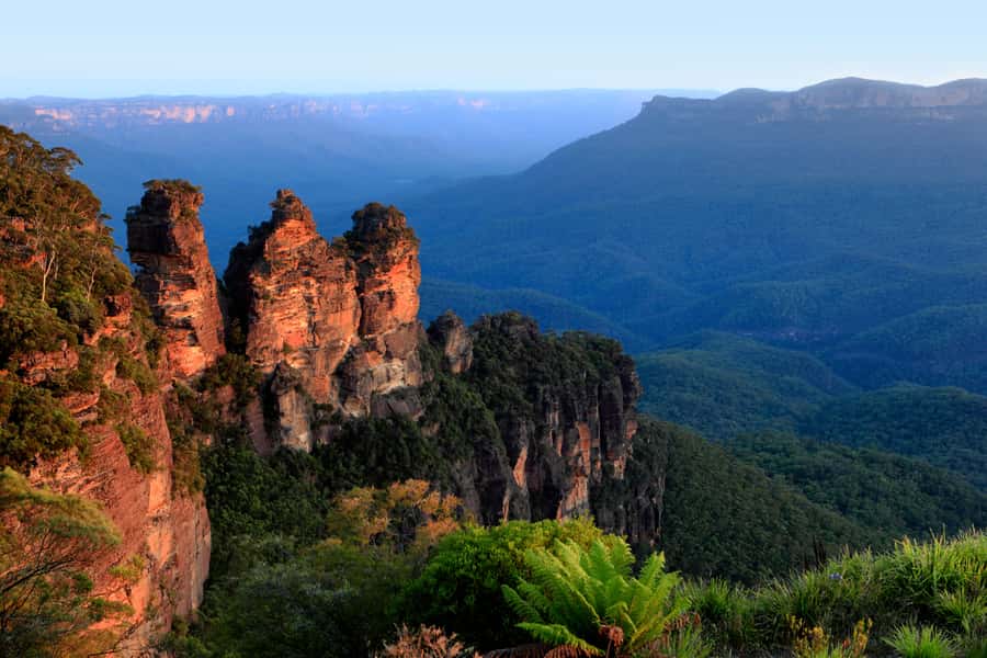 From Sydney: Blue Mountains, Sydney Zoo & Walking Tour - Sydney Zoo: the animals give the day instant momentum