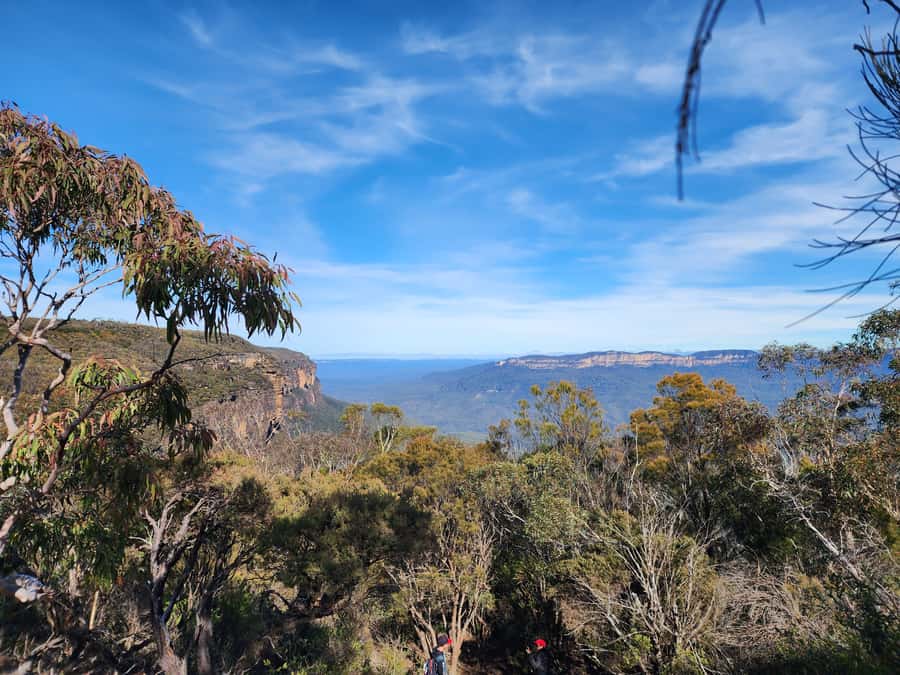 From Sydney: Blue Mountains Tour with Waterfall Walk & Lunch - A Blue Mountains Day That Feels Built for Walking
