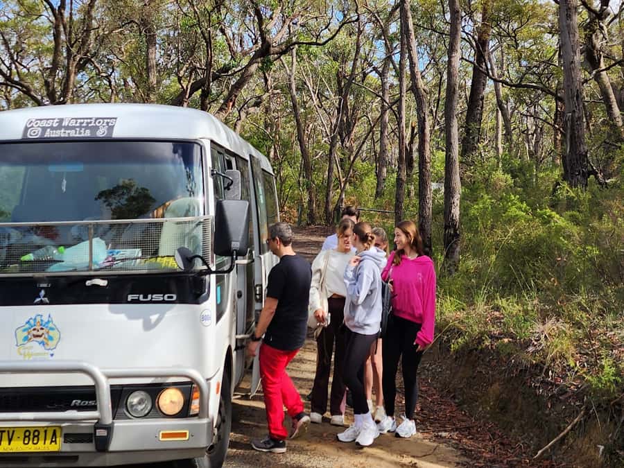 From Sydney: Blue Mountains Tour with Waterfall Walk & Lunch - Price and Value: What $85 Gets You (and What It Does Not)