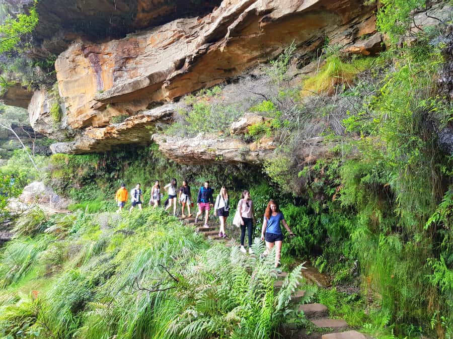 From Sydney: Blue Mountains Tour with Waterfall Walk & Lunch - Getting There Without a Hotel Pickup: Haymarket at 7:30am