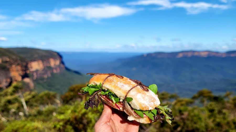 From Sydney: Blue Mountains Tour with Waterfall Walk & Lunch - Wentworth Falls Waterfall Walk: The 90-Minute Core Experience