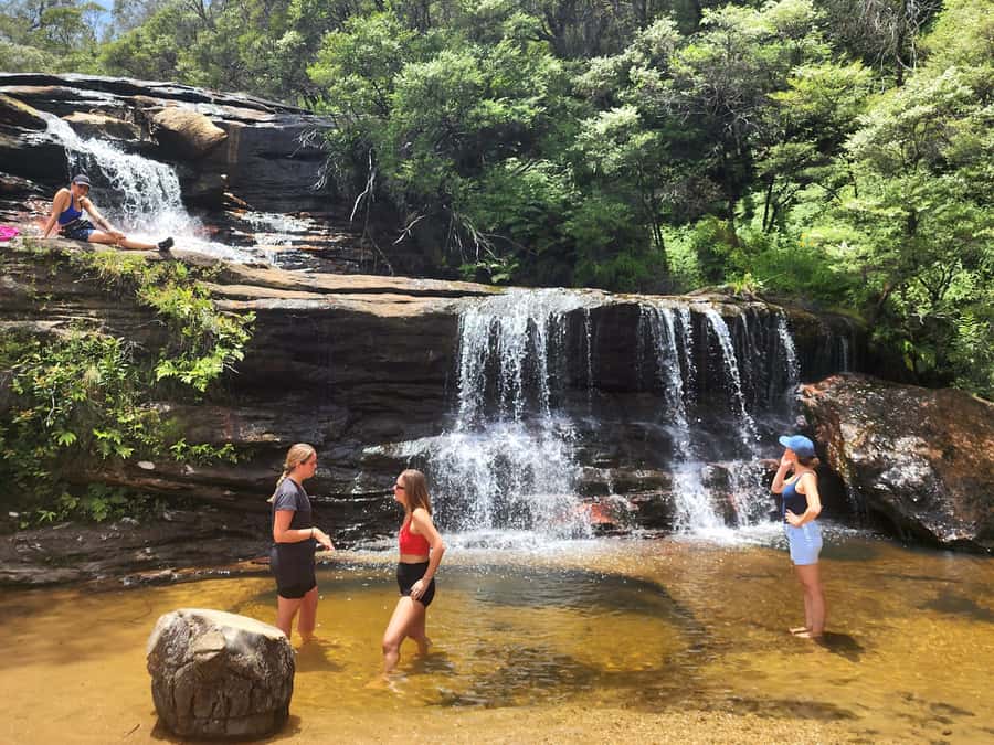 From Sydney: Blue Mountains Tour with Waterfall Walk & Lunch - Lunch, Tim Tams, and What to Bring So the Day Stays Easy