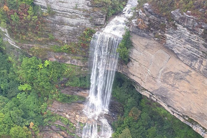 From Sydney: Blue Mountains with Zoo, Koala Photo & Scenic World - Leura Village lunch stop, shop time with a pay-your-own menu