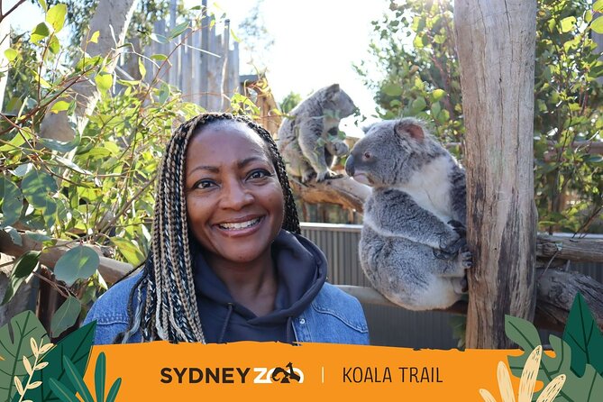 From Sydney: Blue Mountains with Zoo, Koala Photo & Scenic World - Aboriginal cultural experience, where culture fits into the schedule
