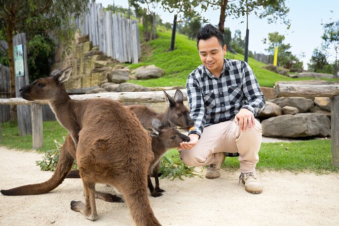 From Sydney: Blue Mountains with Zoo, Koala Photo & Scenic World - Weather, timing, and lines, the three things that can change your day