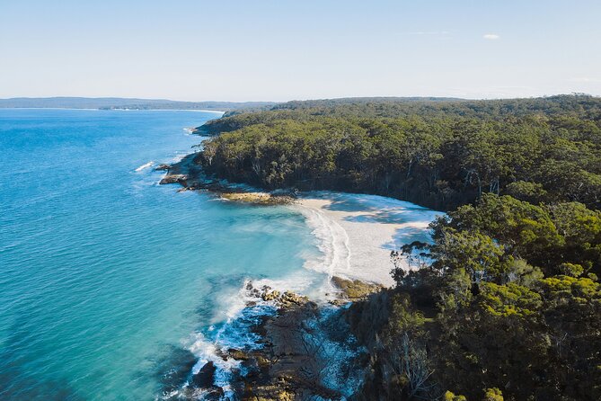 From Sydney: Day Tour to Jervis Bay with Beaches and Koalas - Key highlights to plan around