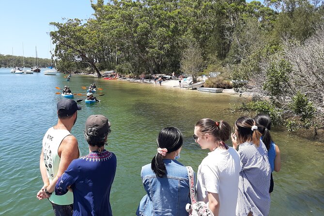 From Sydney: Day Tour to Jervis Bay with Beaches and Koalas - Huskisson break: browsing, beach air, and lunch on your own