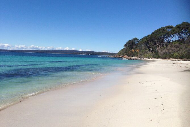 From Sydney: Day Tour to Jervis Bay with Beaches and Koalas - Woollamia Boat Ramp: giant stingray spotting in a tidal river