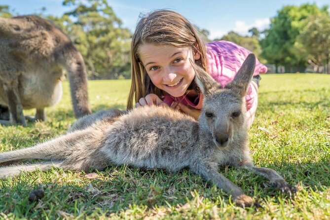 From Sydney: Day Tour to Jervis Bay with Beaches and Koalas - Bald Hill Lookout: the views that set the tone