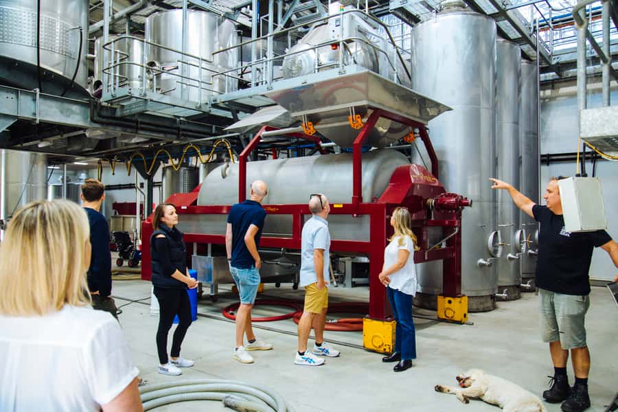 From Sydney: Full-Day Hunter Valley Tour w/ Tastings & Lunch - Who should book this Hunter Valley day trip