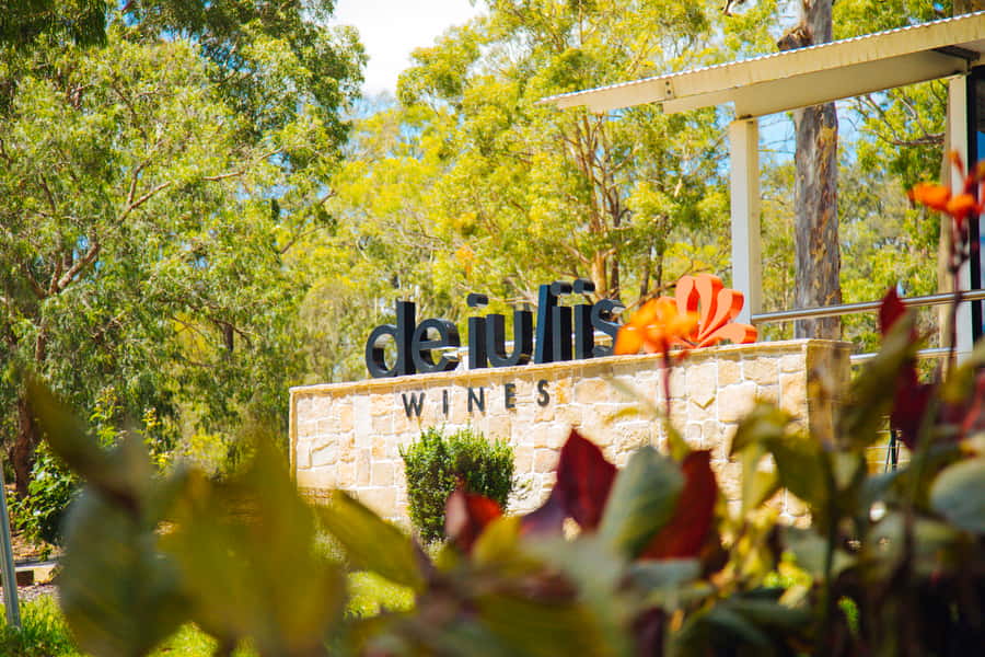 From Sydney: Full-Day Hunter Valley Tour w/ Tastings & Lunch - The behind-the-scenes wine production tour: when the day becomes more than drinking