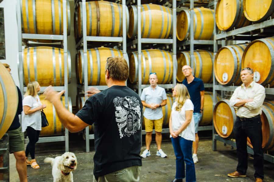 From Sydney: Full-Day Hunter Valley Tour w/ Tastings & Lunch - Pairing time: cheese and chocolate add flavor, but quality can vary