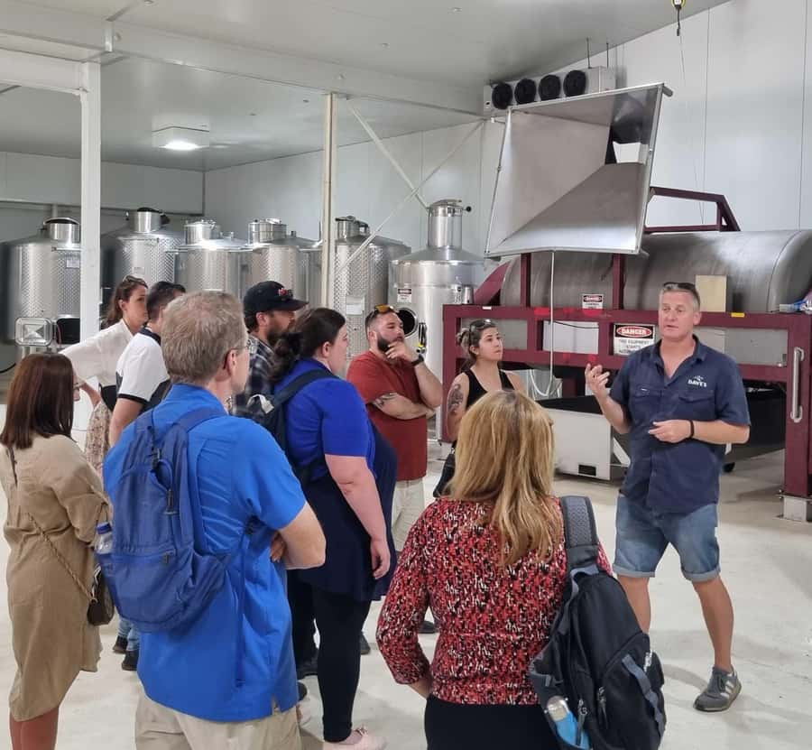 From Sydney: Hunter Valley Beer & Wine Group Tour - Key highlights you will actually care about
