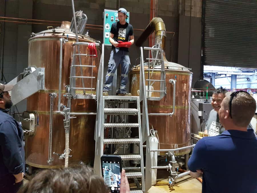 From Sydney: Hunter Valley Multi-Brewery Tour with Lunch - From Central Sydney to Four Breweries: The Day at a Glance