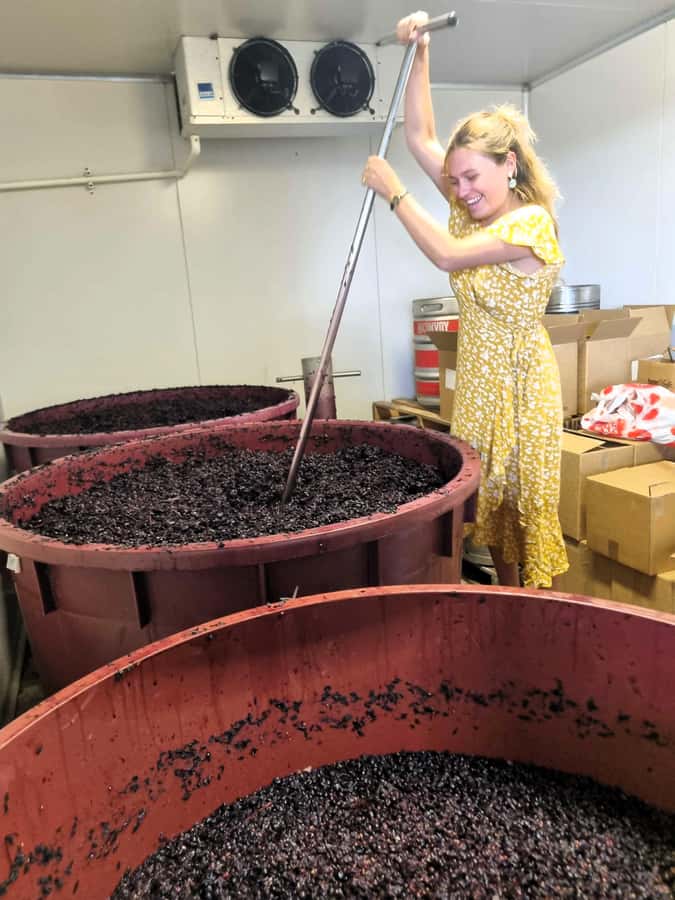 From Sydney: Hunter Valley Wine, Gin & Food Tastings Tour - Hunter Valley in One Day: Why This Wine, Gin, and Food Mix Works