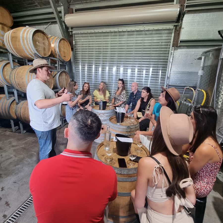 From Sydney: Hunter Valley Wine, Gin & Food Tastings Tour - Getting There from Sydney: Pickup, Comfort, and Timing You Can Plan Around