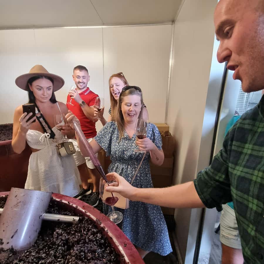 From Sydney: Hunter Valley Wine, Gin & Food Tastings Tour - Stop One: Boutique Vineyard Time and a First Round of Tasting