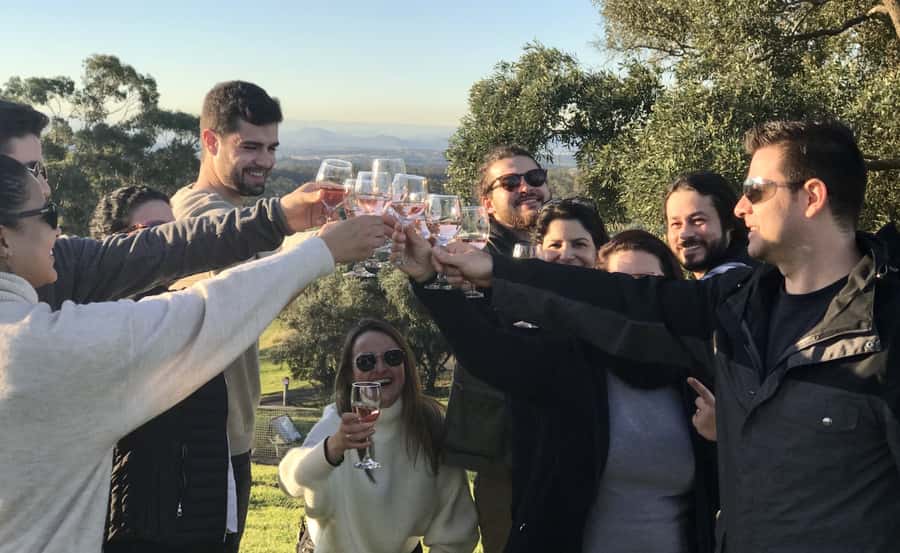 From Sydney: Hunter Valley Wine Tasting & Winery Picnic Tour - Key Things I’d Save You From Missing