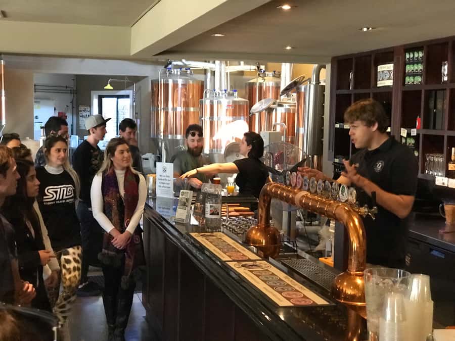 From Sydney: Hunter Valley Wine Tasting & Winery Picnic Tour - What the Guide Adds: Small Group, Bilingual Support, and Real Energy