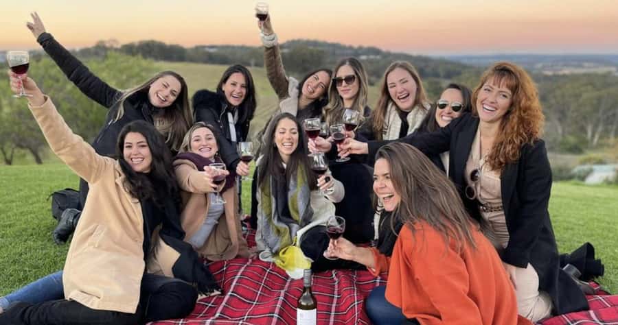 From Sydney: Hunter Valley Wine Tasting & Winery Picnic Tour - Who This Tour Suits Best