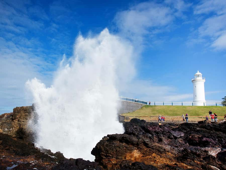 From Sydney: Kiama & South Coast Scenic Private Tour - Key highlights worth your attention