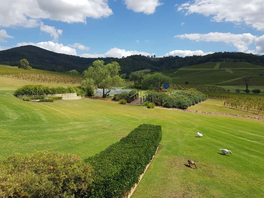 From Sydney: Luxury Hunter Valley Private Tour - Hunter Valley Cheese Company: the savory stop that keeps tastings fun