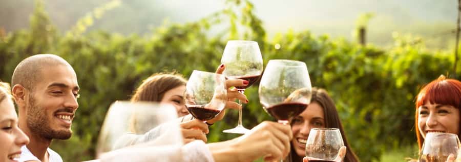 From Sydney: Luxury Hunter Valley Private Tour - A quick note on the human side, Kevin’s role
