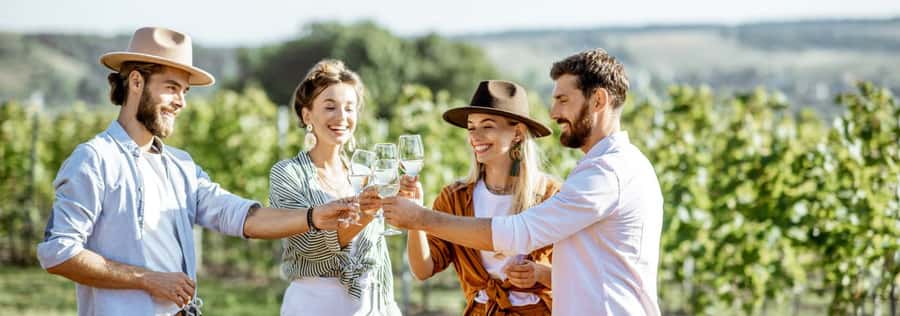 From Sydney: Luxury Hunter Valley Private Tour - Wollombi coffee and your first wine tasting hit