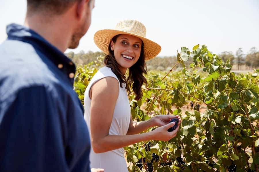 From Sydney: Luxury Hunter Valley Wine Tour with Fine Dining - Who should book this luxury Hunter Valley tour