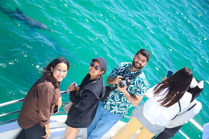 From Sydney: Port Stephens Dolphin, Koalas, Lunch & Sandboarding - Stockton Beach dunes, Birubi Beach 4WD, and sandboarding on provided boards