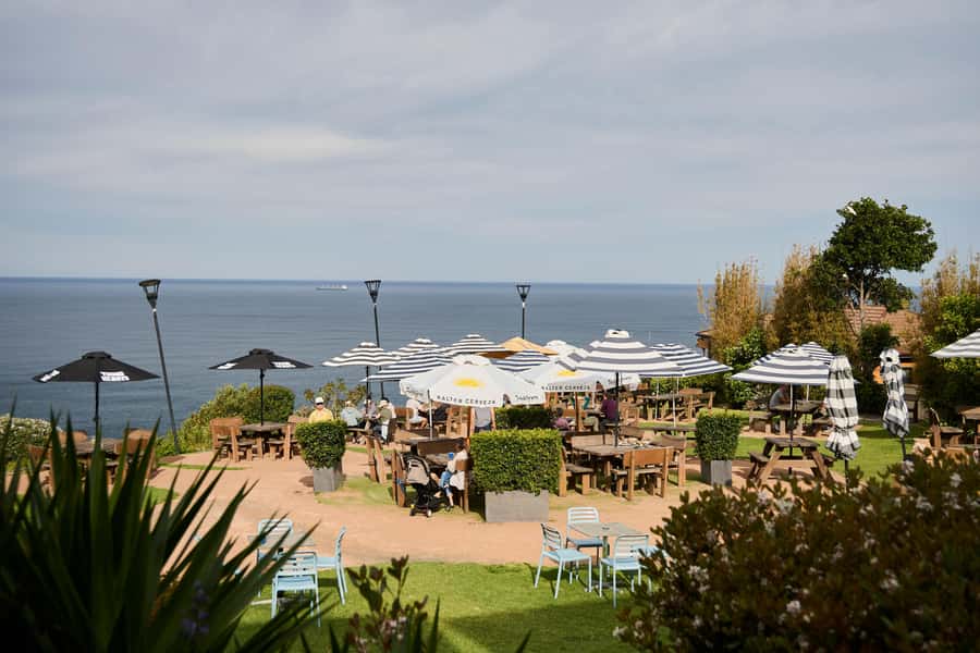 From Sydney: Royal National Park Private Tour - Bungoona Lookout: the short walk that delivers big coast views