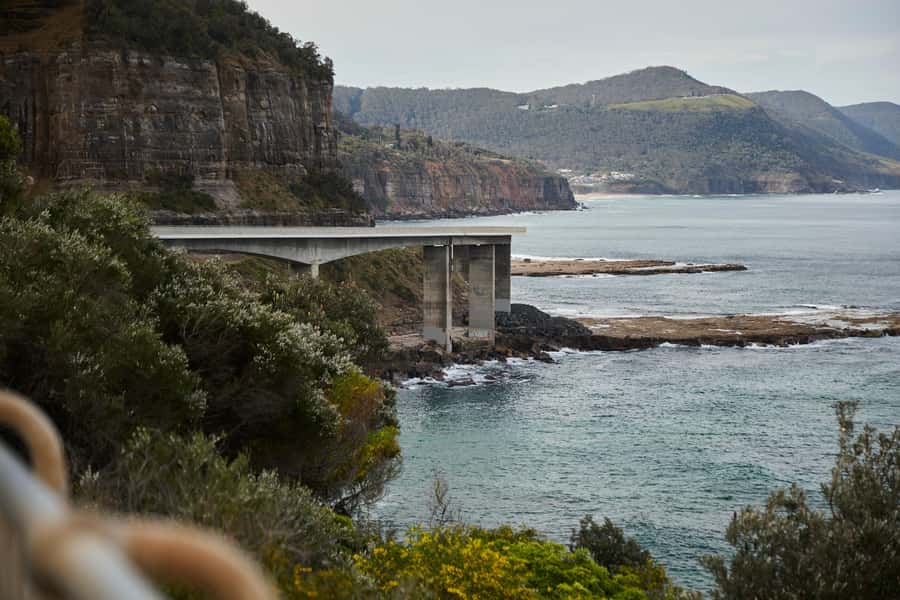 From Sydney: Royal National Park Private Tour - Afternoon choice: Sandon Point, Thirroul Beach, or Symbio Wildlife Park