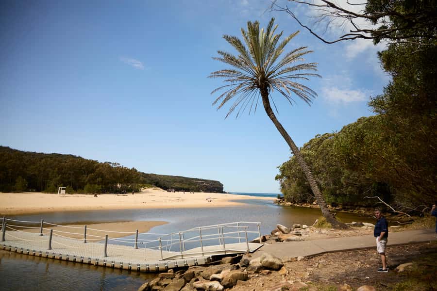From Sydney: Royal National Park Private Tour - Sydney CBD pickup, Botany Bay passing, and Captain Cook’s landing point