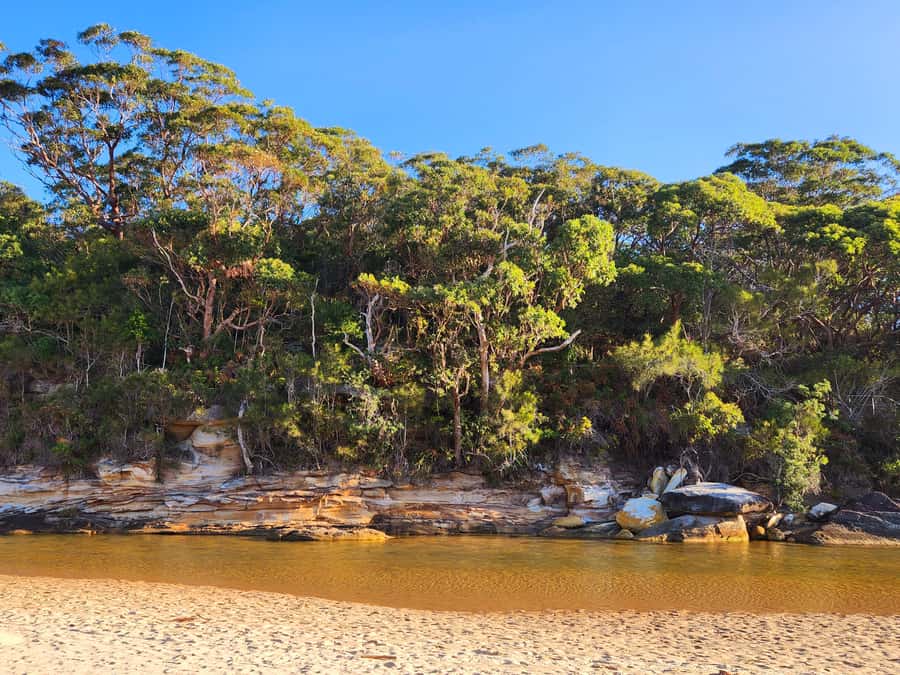 From Sydney: Royal National Park, Wollongong, and Kiama Tour - Kiama Blowhole: the one stop you will remember