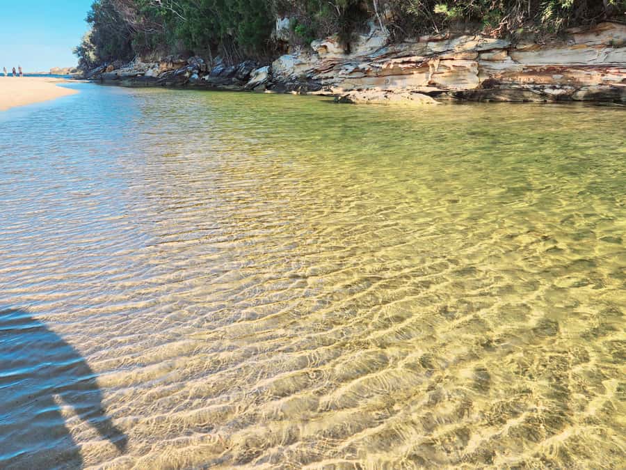 From Sydney: Royal National Park, Wollongong, and Kiama Tour - Who should book this day trip, and who should skip it