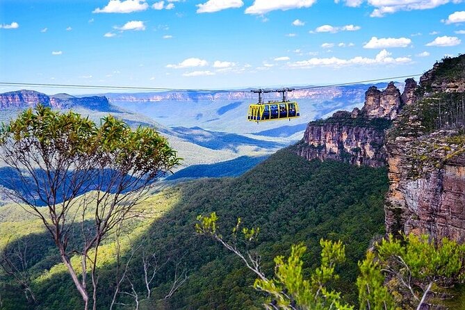 Full Day Blue Mountains Tour from Sydney in a small Group - Featherdale Wildlife Park: your koala-and-kangaroo starter