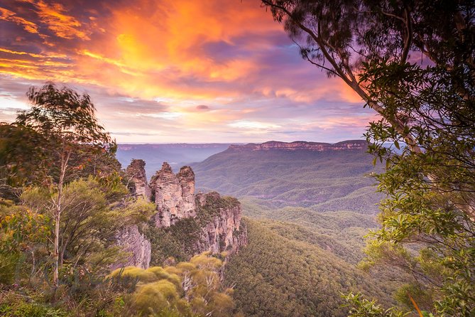 Fully Inclusive Blue Mountains Private Tour inc Scenic World & Featherdale Entry - Key things to know before you go