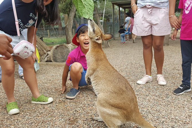 Fully Inclusive Blue Mountains Private Tour inc Scenic World & Featherdale Entry - Scenic World: Cable Car across the Jamison Valley, the Steepest Railway, and the Skyway