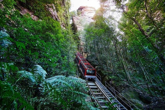 Fully Inclusive Blue Mountains Private Tour inc Scenic World & Featherdale Entry - Comfort, flexibility, and what to expect if you walk less
