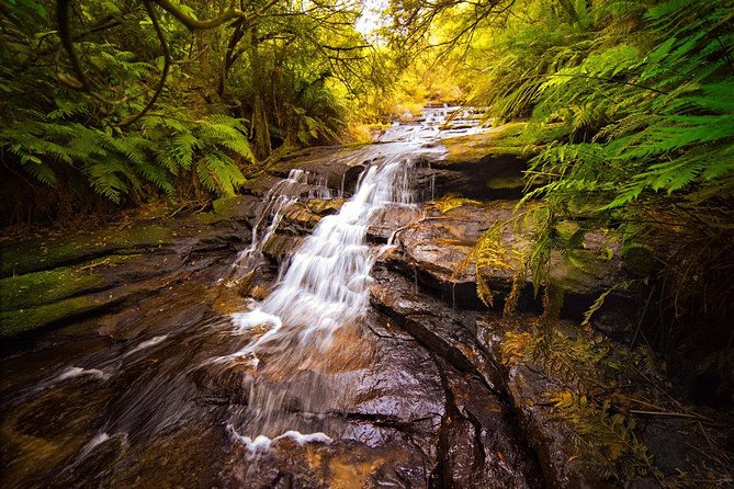 Fully Inclusive Blue Mountains Private Tour inc Scenic World & Featherdale Entry - Price and value: what $315 gets you, and why it can be worth it