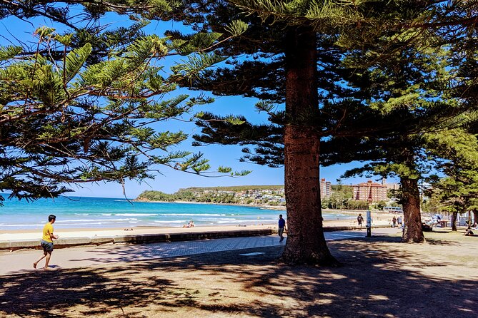Golden Beaches and Ocean Vistas MANLY AND NORTHERN BEACHES PRIVATE TOUR - Key highlights worth planning around
