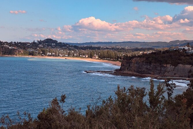 Golden Beaches and Ocean Vistas MANLY AND NORTHERN BEACHES PRIVATE TOUR - Manly Beach lunch break, then the surf start trail