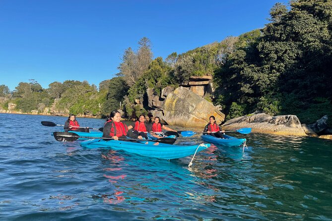 Guided Kayak Tour of Manly Cove Beaches - Quick why this Manly Cove kayak tour works